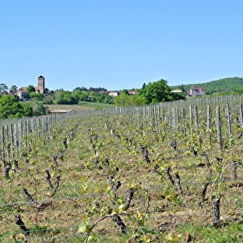 Domaine du Mont Epin - DAVAYE