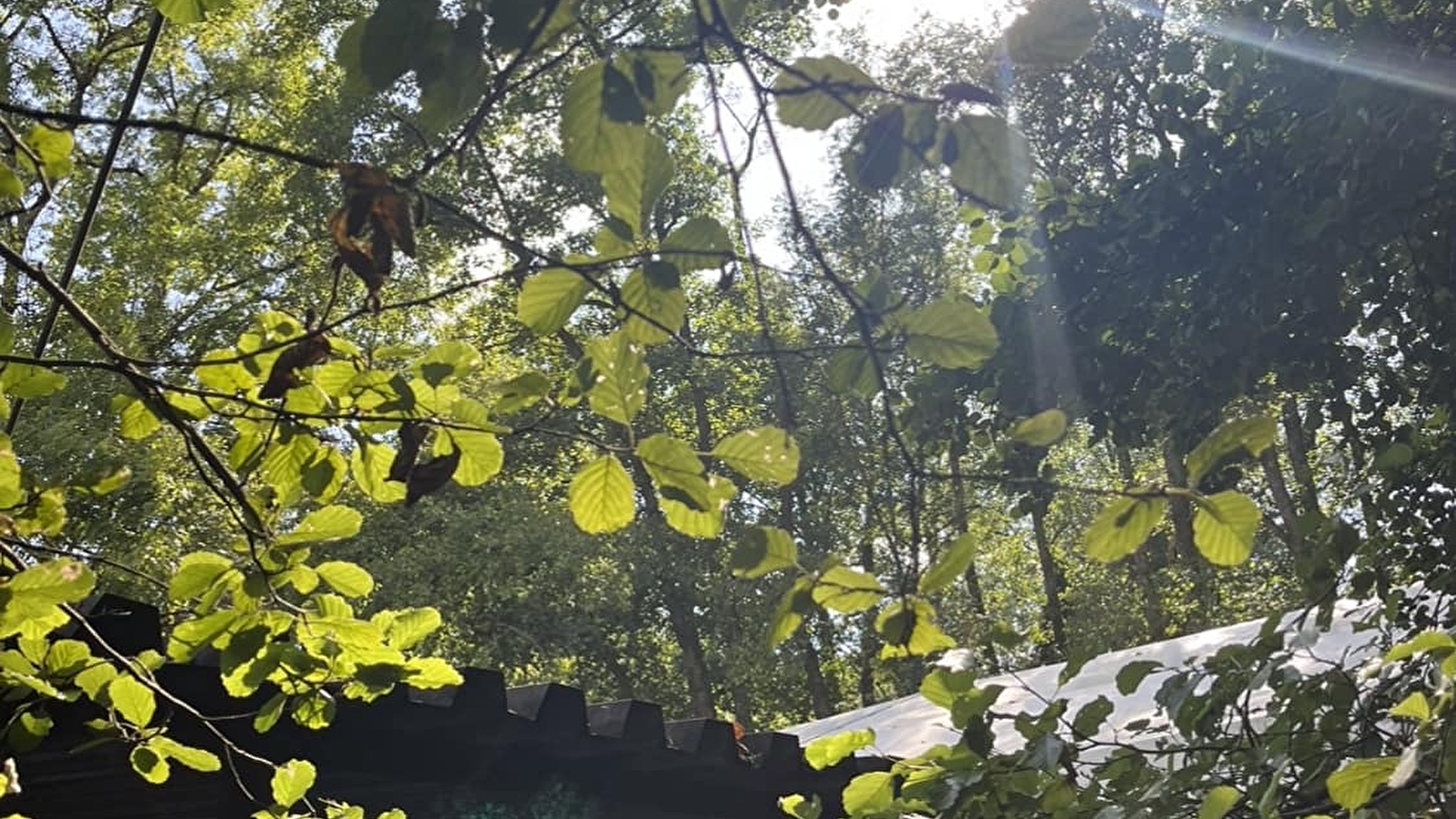 Guinguette des Gouvets