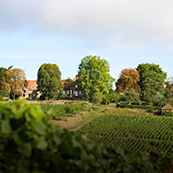 Domaine du Château de Rougeon - BISSEY-SOUS-CRUCHAUD