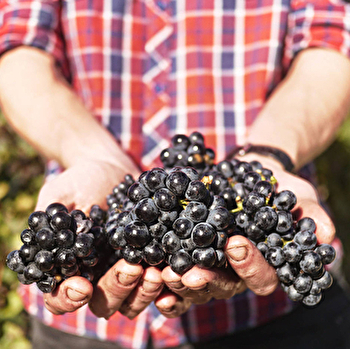 Montchovet Eric - NANTOUX