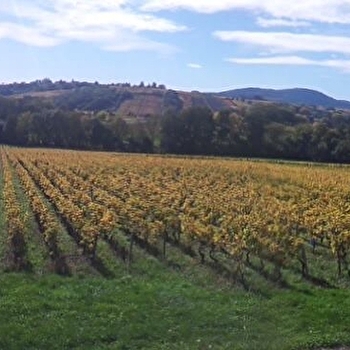 Domaine des Pérelles - Jean-Yves Larochette - CHANES