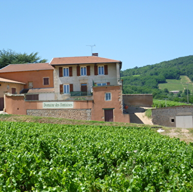 Domaine des Fontaines