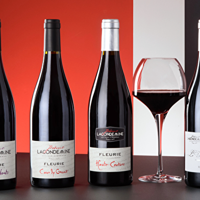 Domaine Jérôme Lacondemine