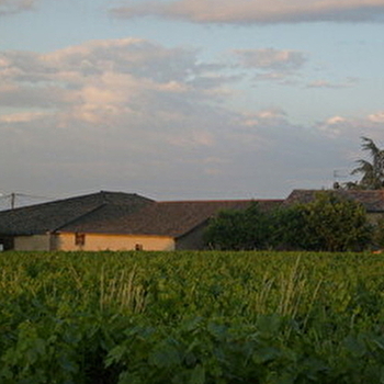 Les GAMAYLINAND - BELLEVILLE-EN-BEAUJOLAIS