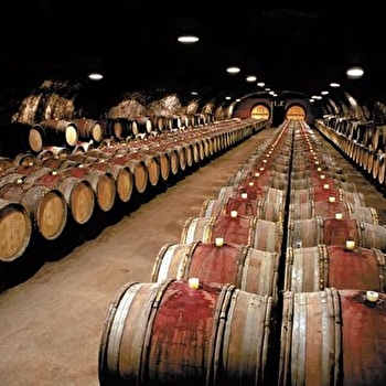 Cave du Château de Chénas - CHENAS