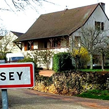 Chaumont Guy - ROSEY