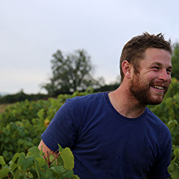 Domaine Joseph Dorbon - VADANS