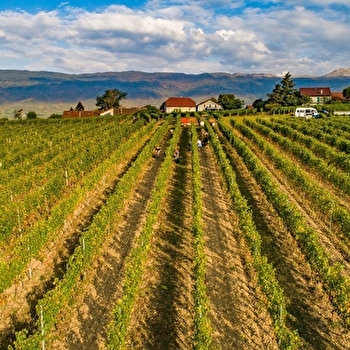 Domaine de Mucelle - CHALLEX