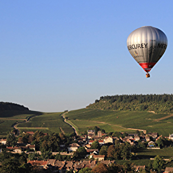 Domaine de l'Europe - Cinquin Chantal et Guy  - MERCUREY