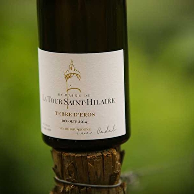 Domaine de la Tour Saint-Hilaire
