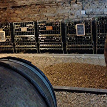 Conti Isabelle et Jean - BEAUNE