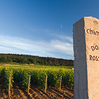 Rossignol-Trapet - GEVREY-CHAMBERTIN