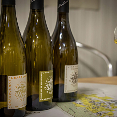 Les Vignes d'Adélie