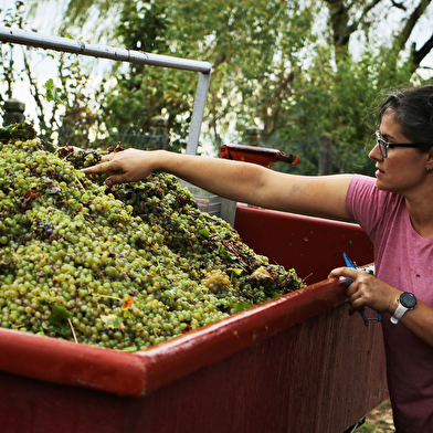 Domaine Marielle & Claude Michot