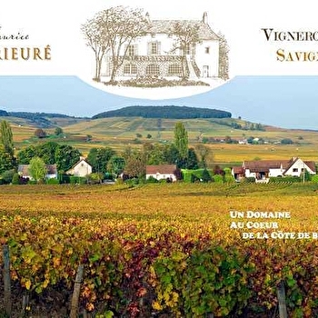 Prieuré - Maurice Stephen - SAVIGNY-LES-BEAUNE