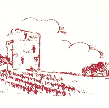 Domaine Jean-Pierre & Jean-Yves Boisson - TOULOUSE-LE-CHATEAU