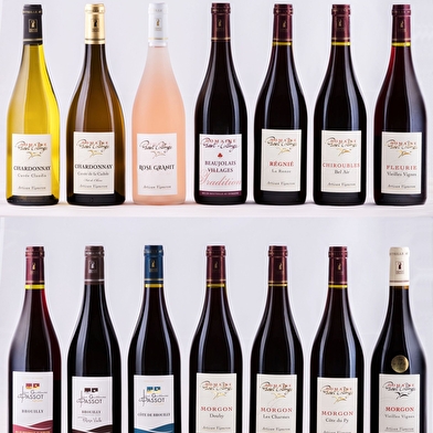 Domaine Passot-Collonge