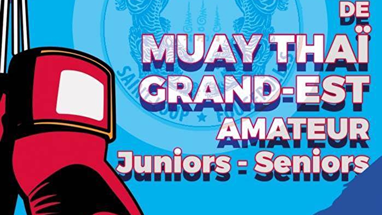 Championnat de Muay Thaï