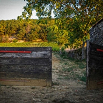 Esmonin Sylvie - GEVREY-CHAMBERTIN