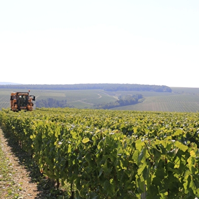 Domaine de Prenant - Domaine Chavard