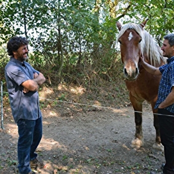 Chevrot et Fils - CHEILLY-LES-MARANGES