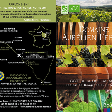 Domaine Aurélien Febvre 