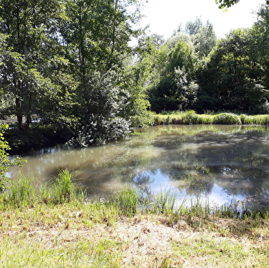 Camping naturiste : Les étangs de Saint Pancras