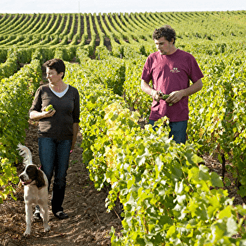 Domaine des Tayaux  - SURY-EN-VAUX