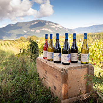 Domaine de la Ferme de Jeanne - FLAXIEU