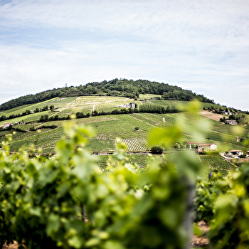 Domaine Nicolas Boudeau - ODENAS