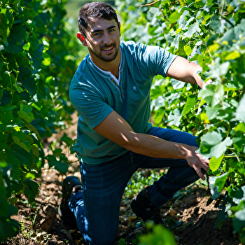 Vincent ROYET - Grands Vins de Bourgogne - COUCHES