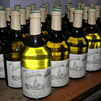 Domaine Villet - ARBOIS