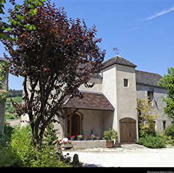 Gouges Henri  - NUITS-SAINT-GEORGES