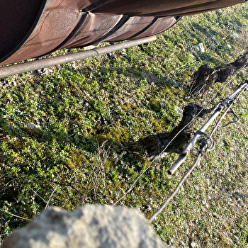 Jacquet Lionel et Séverine - CHITRY