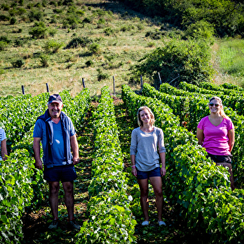 Domaine des Petits Champs Lins - MEURSAULT