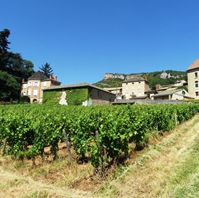 Château la Vernaille