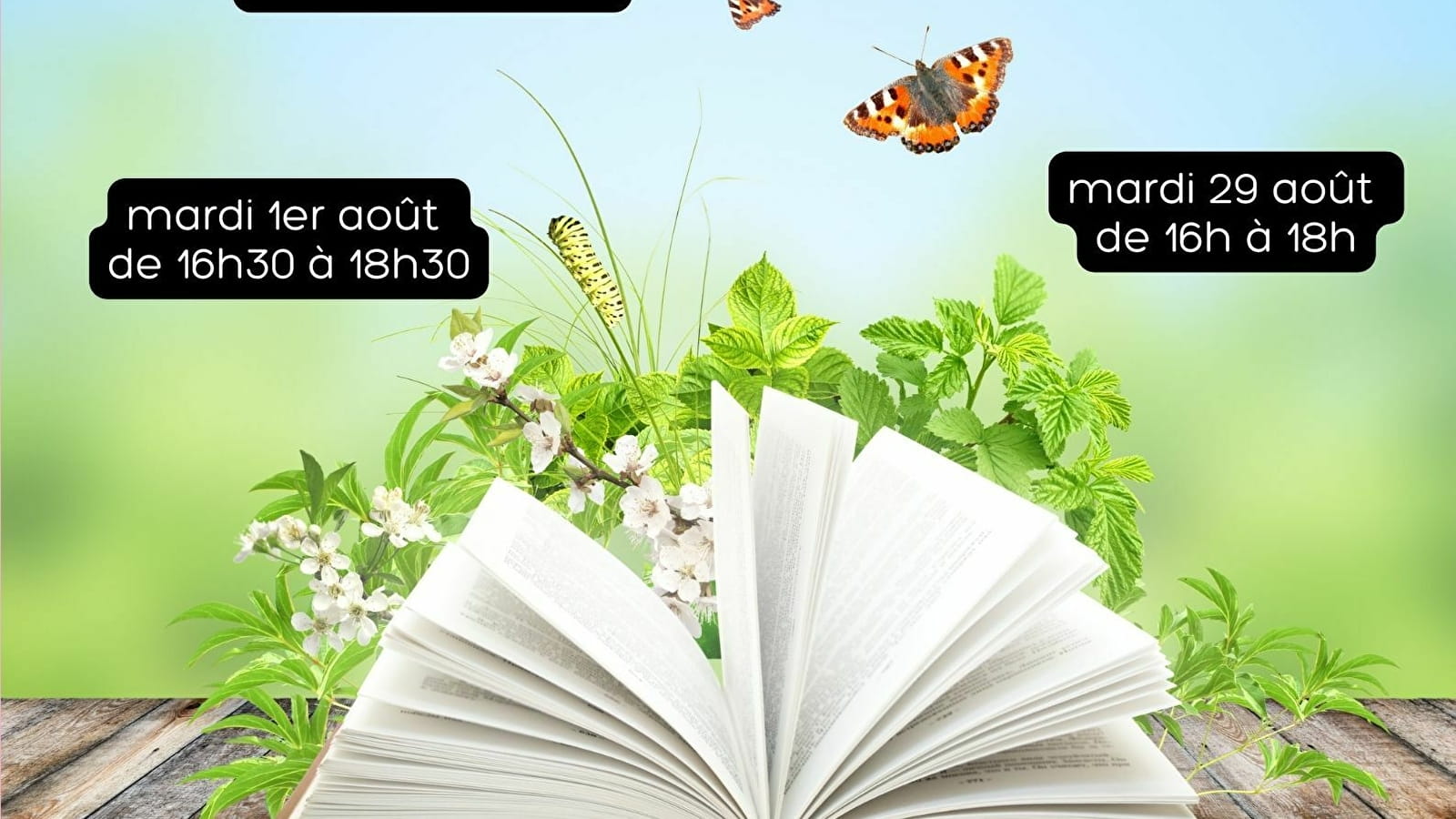 Balade lecture