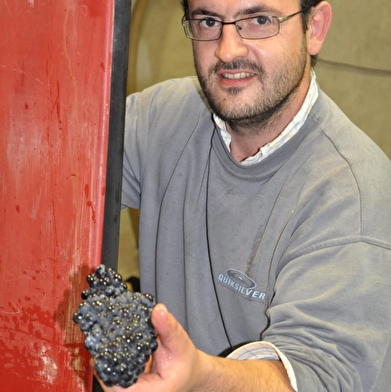 Domaine David-Beaupère