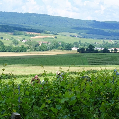 Domaine du Mont Epin