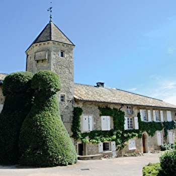 Château de Fuissé - Jean Jacques Vincent - FUISSE