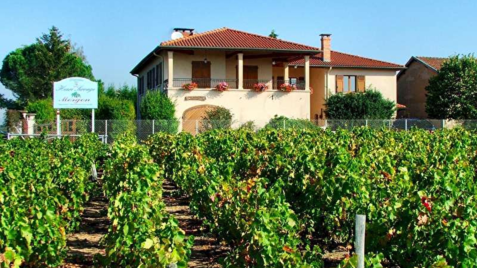 Domaine Henri Servage