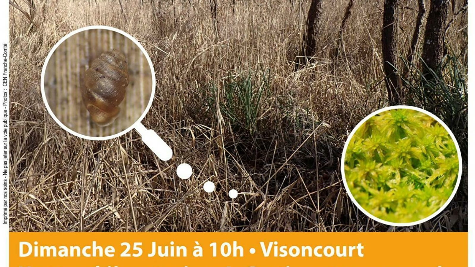 Sortie nature escarpée