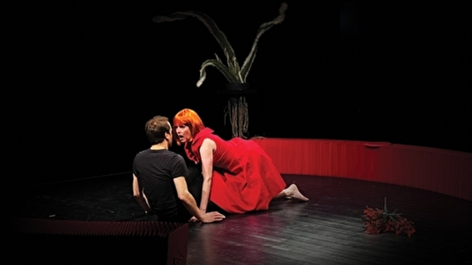 Théâtre : Velouté