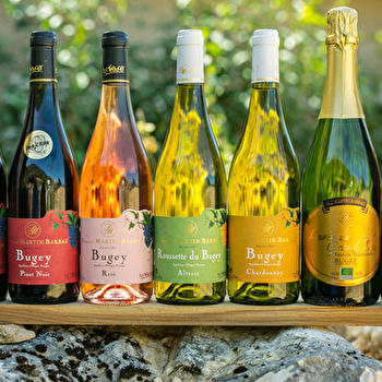 Cave Martin-Barbaz - IZIEU