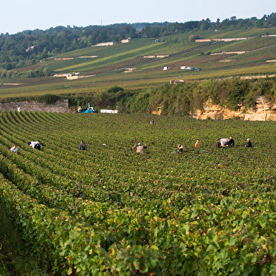 Arnoux Père et Fils