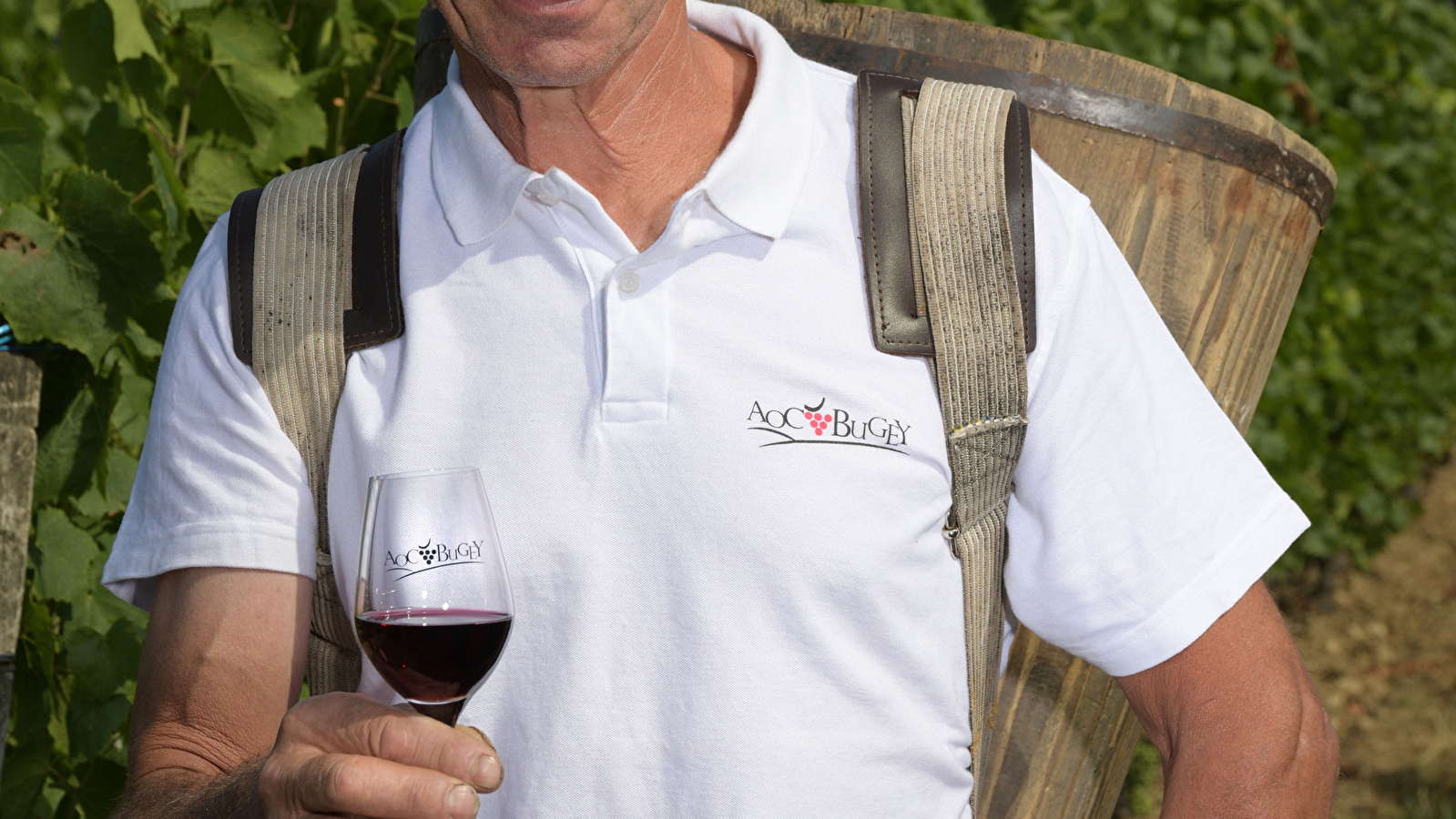 Gallet Daniel - Le Clos des Godardes