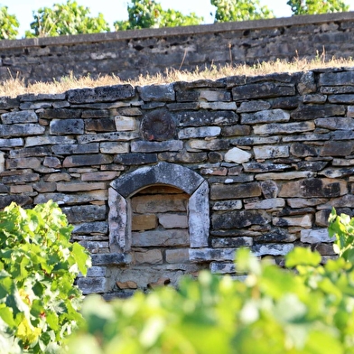 Bachelet Jean Claude