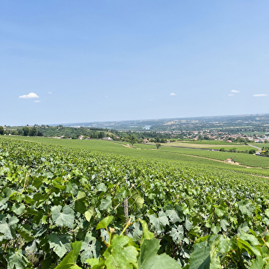 Château de Lachassagne