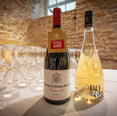 Château de Champ-Renard