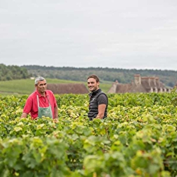 Clerget Yvon - VOLNAY